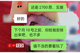 若羌遇到恶意拖欠？专业追讨公司帮您解决烦恼